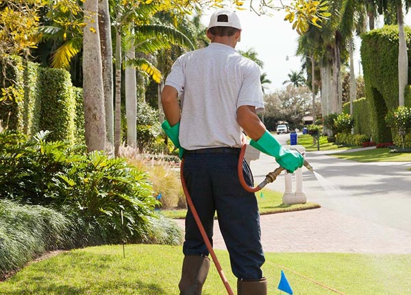 About East Moline IL Pest Control
